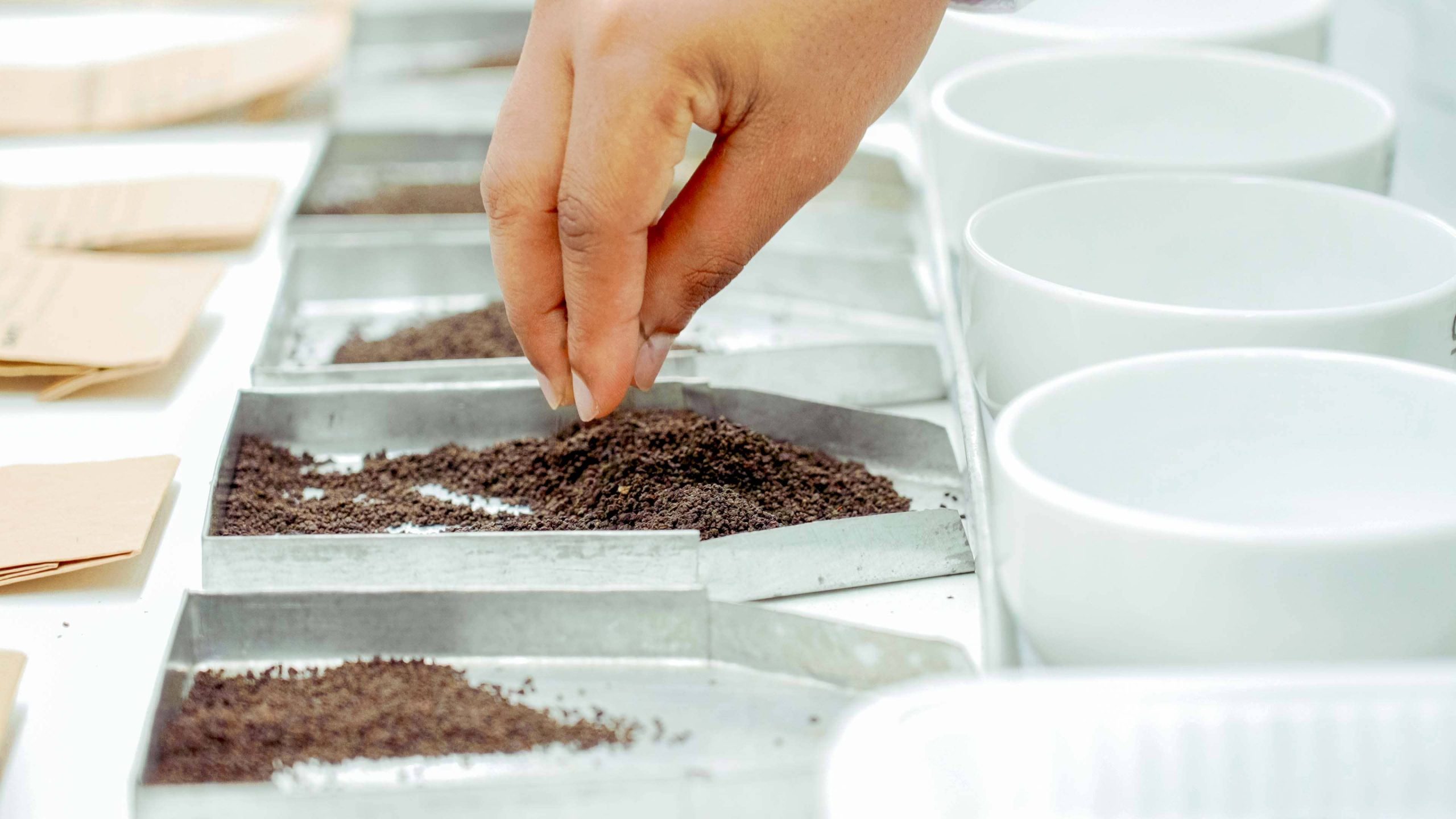Kenyan black tea supplier UK London premium tea export from Kenya tea estates